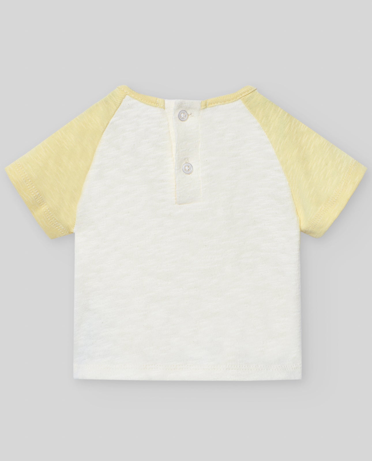 Camiseta POMBA