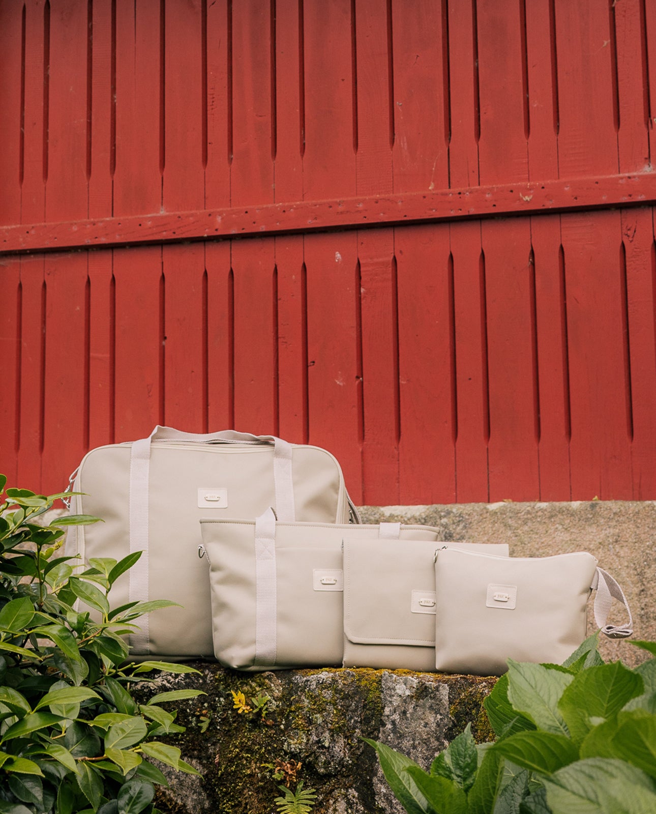 LOOK COMPLEMENTOS MOMO